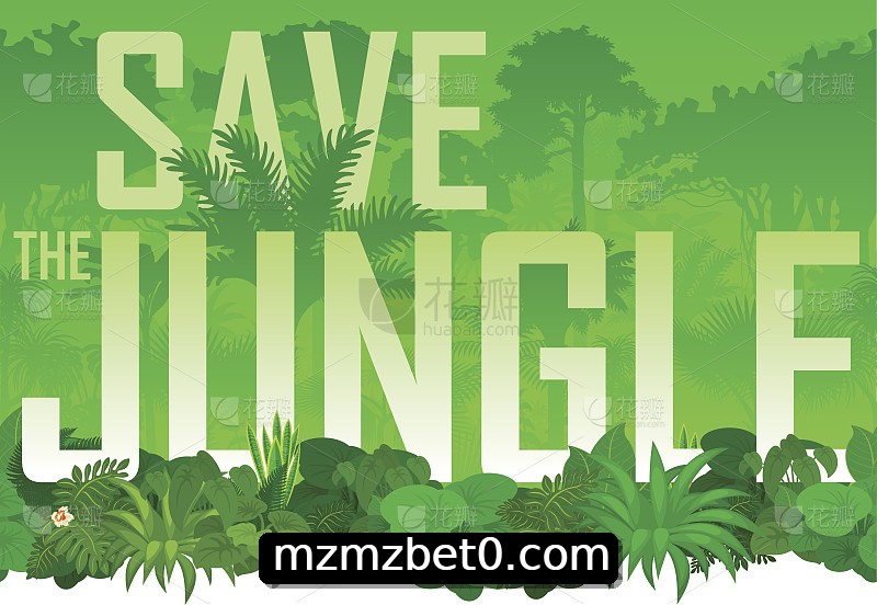 Integração de APIs mzmzbet